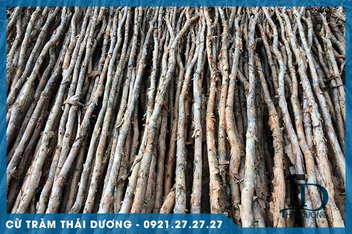 Giới thiệu thái dương 1