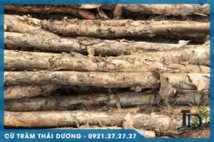 Cừ tràm trong xây dựng